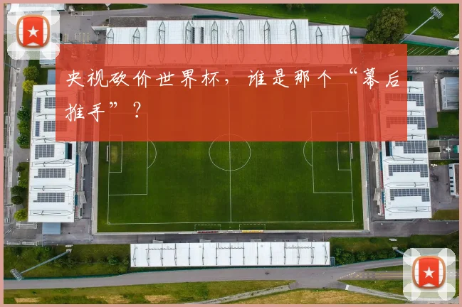 央视砍价世界杯，谁是那个“幕后推手”？