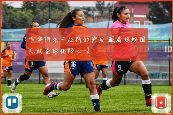官宣阿尔卡拉斯的背后 藏着蚂蚁国际的全球化野心